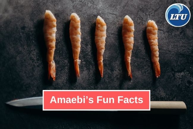 7 Impressive Facts about Amaebi